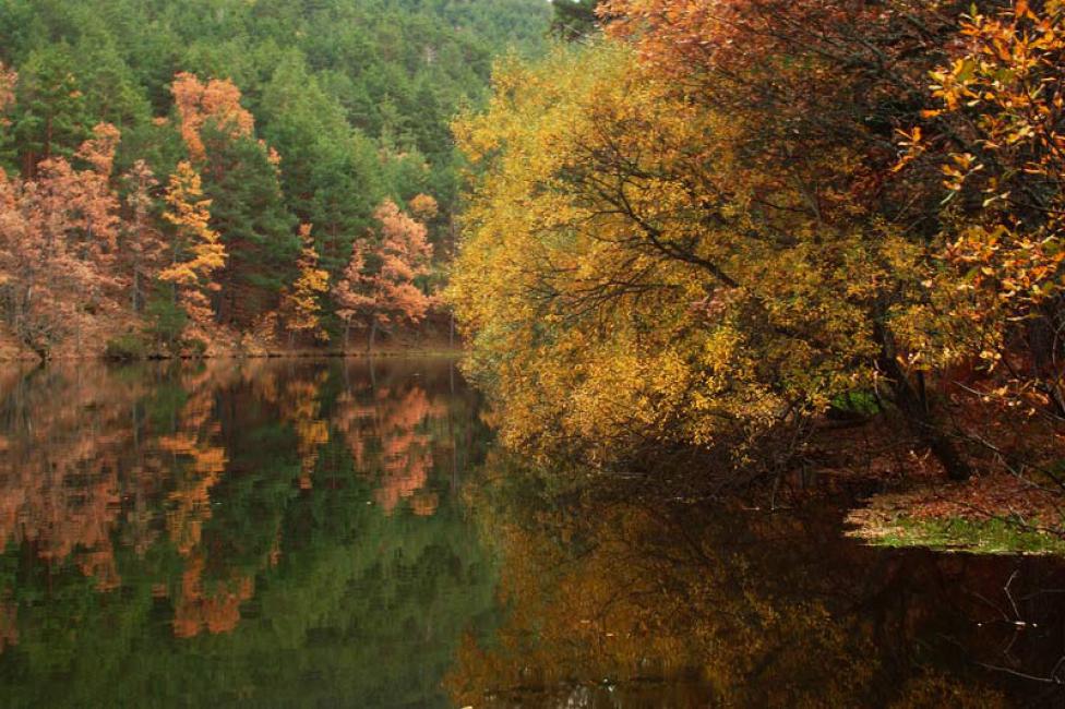 Sierra de Guadarrama